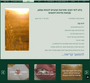 אתר בלוג