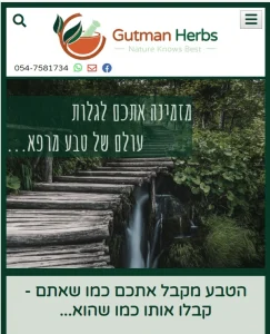 עיצוב רספונסיבי